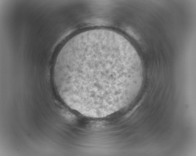 X0000068741309200605192335