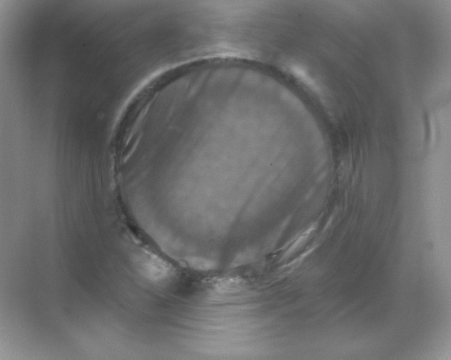 X0000068741310200605192335