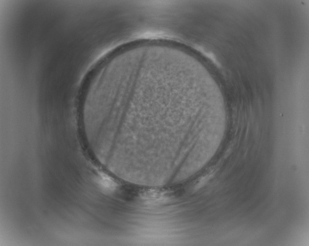 X0000068741311200605192335