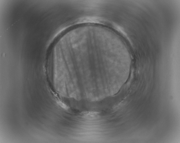 X0000068741312200605192335