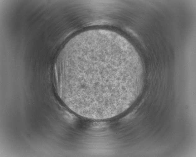 X0000068741313200605192335