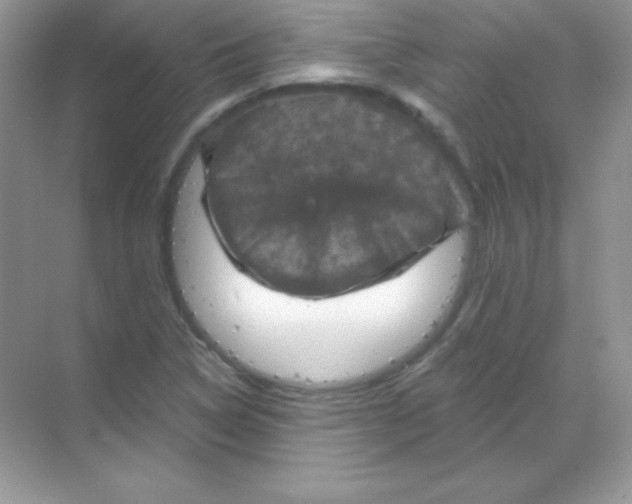 X0000068741314200605192335