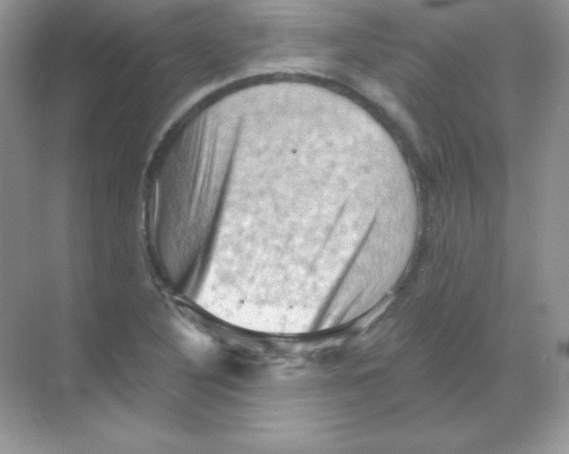 X0000068741316200605192335