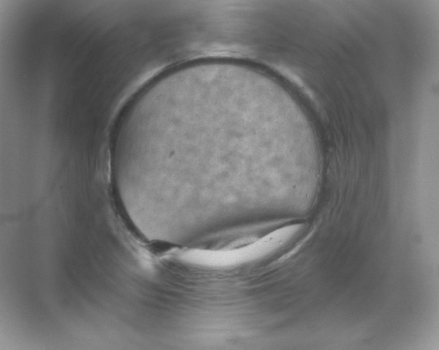 X0000068741317200605192335