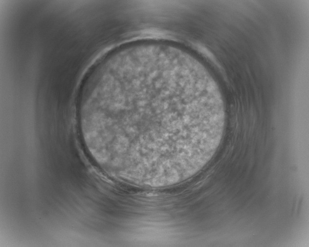 X0000068741318200605192335