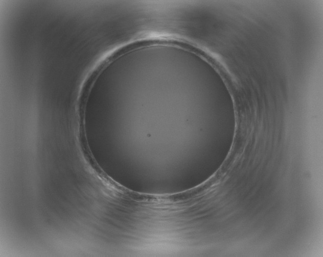 X0000068741319200605192335