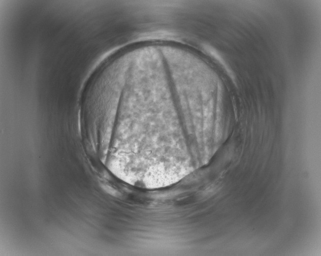 X0000068741320200605192335