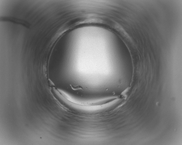 X0000068741321200605192335