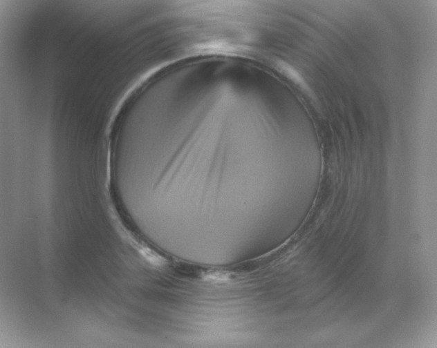 X0000068741323200605192335