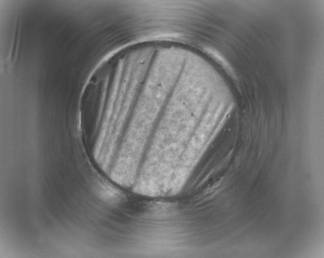 X0000068741324200605192335