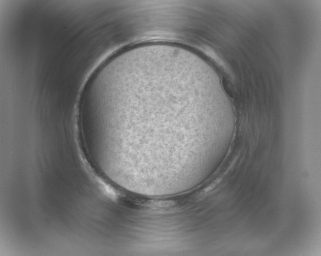 X0000068741325200605192335