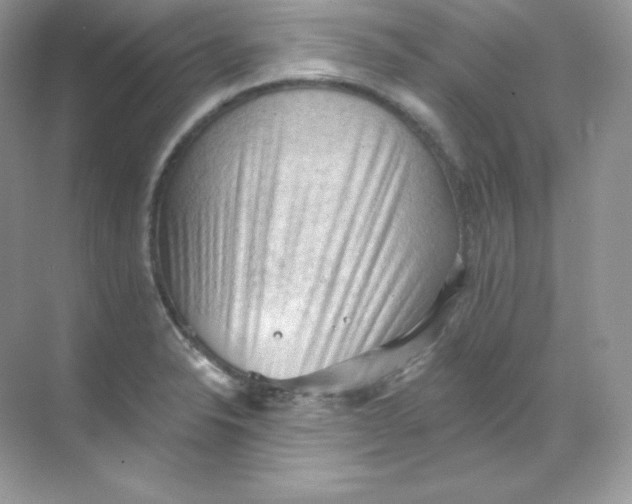 X0000068741326200605192335