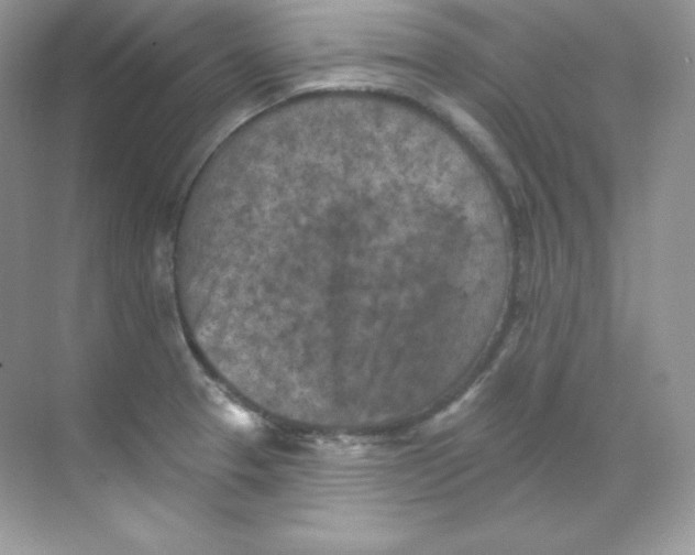 X0000068741329200605192335