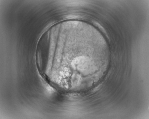 X0000068741330200605192335