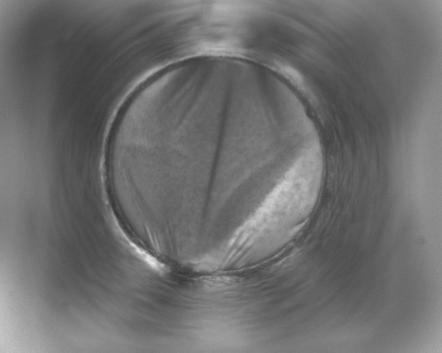 X0000068741331200605192335