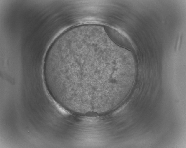 X0000068741333200605192335