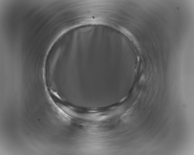 X0000068741334200605192335