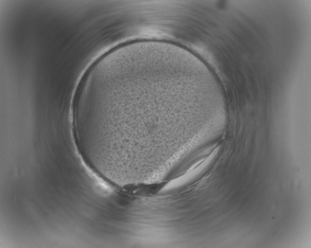 X0000068741335200605192335