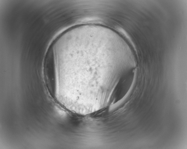 X0000068741336200605192335