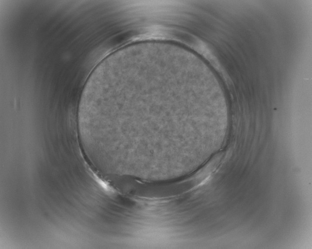 X0000068741337200605192335