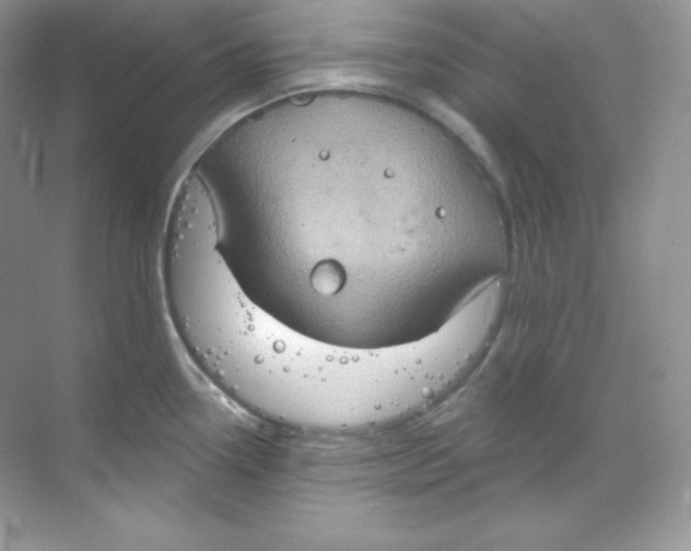 X0000068741338200605192335