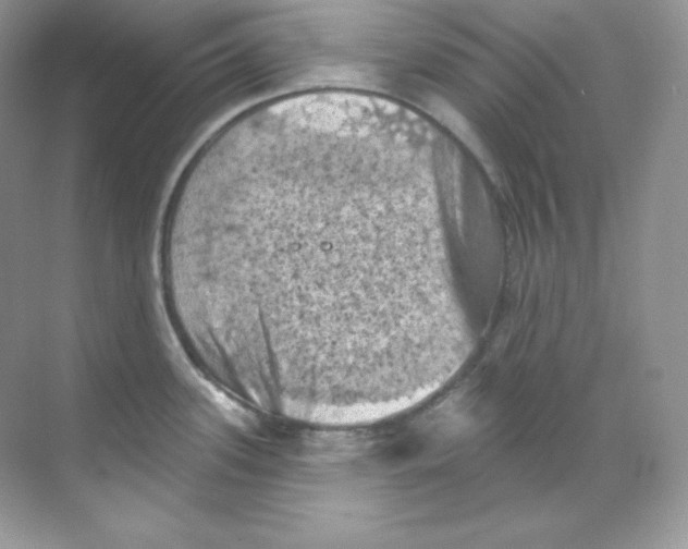 X0000068741339200605192335