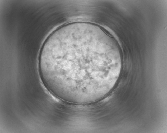 X0000068741341200605192335