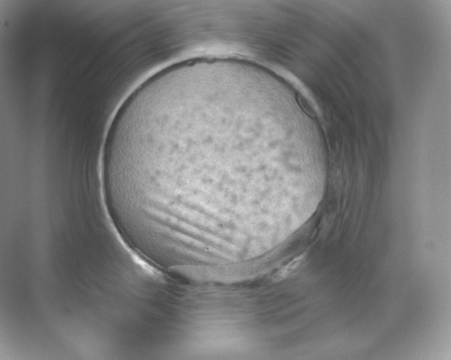 X0000068741343200605192335