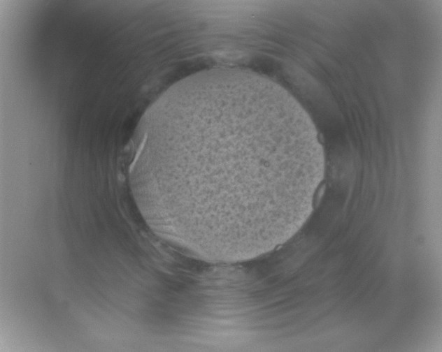 X0000068741346200605192334