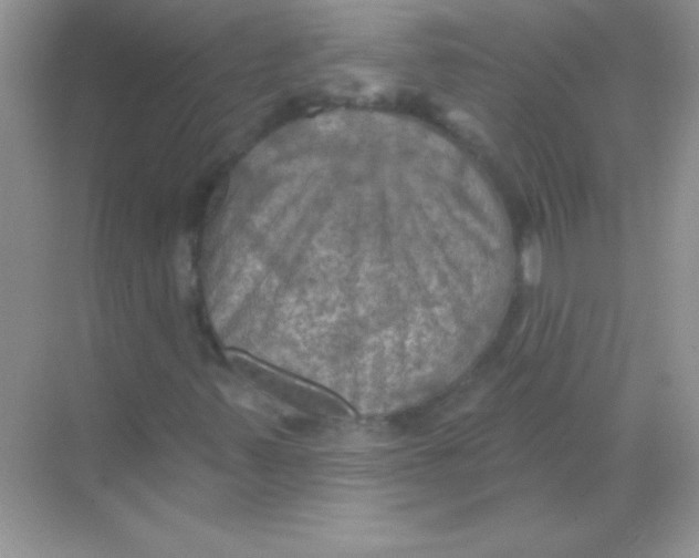 X0000068741347200605192334