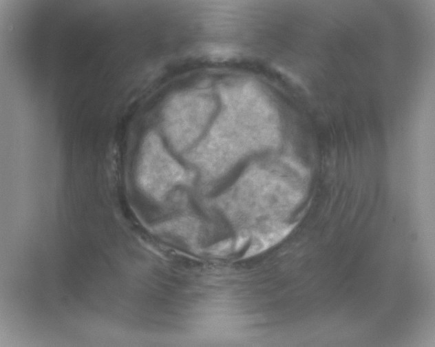 X0000068741349200605192334