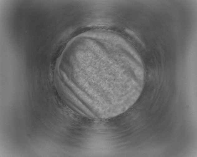 X0000068741350200605192334