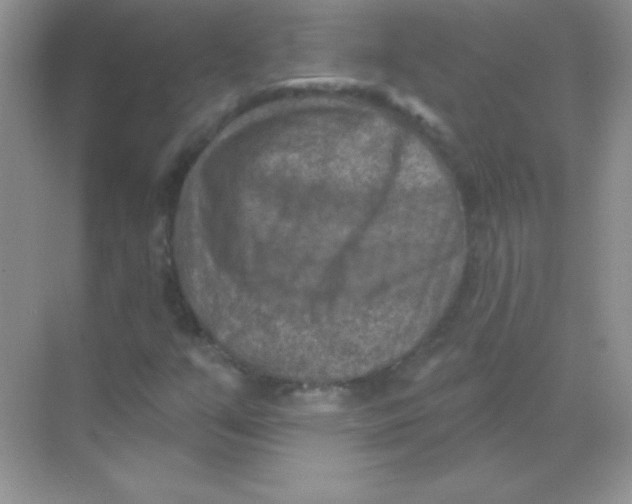 X0000068741351200605192334