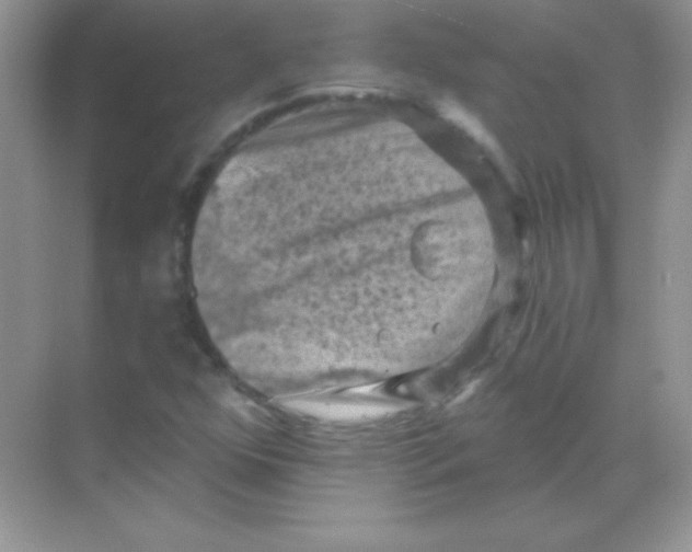 X0000068741352200605192334