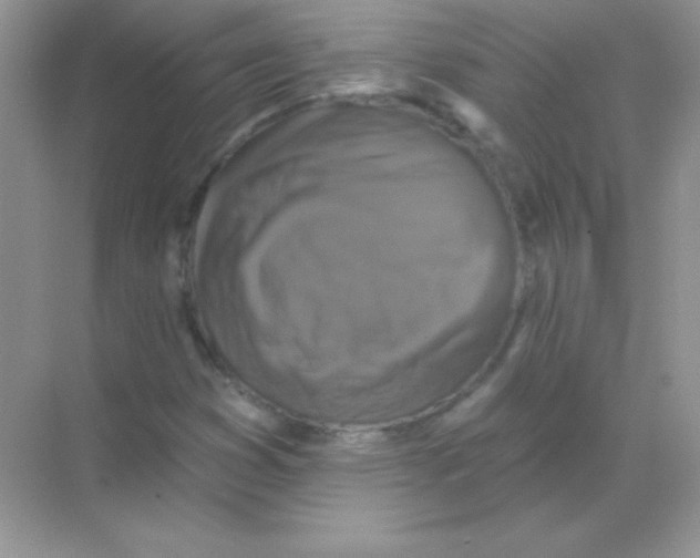 X0000068741353200605192334