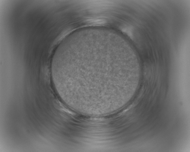 X0000068741354200605192334