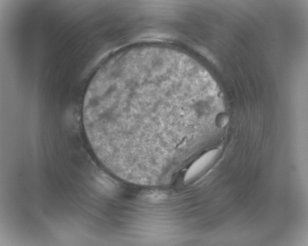 X0000068741355200605192334