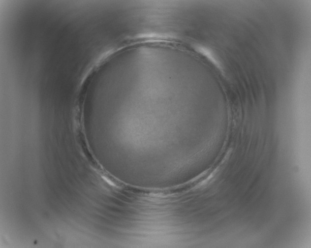 X0000068741357200605192334