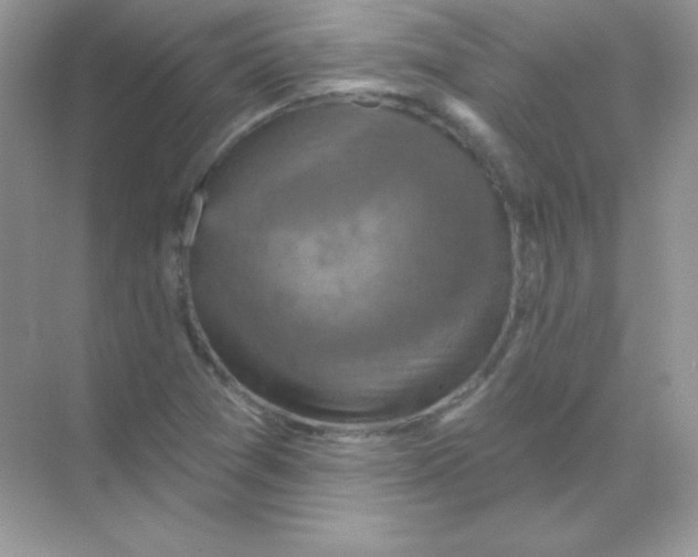 X0000068741361200605192334