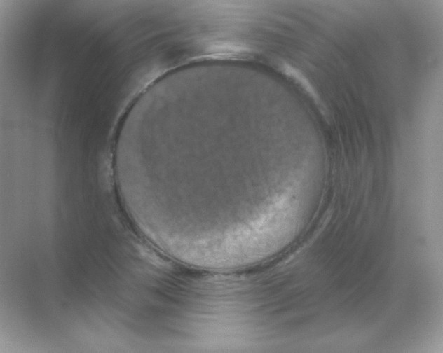 X0000068741362200605192334