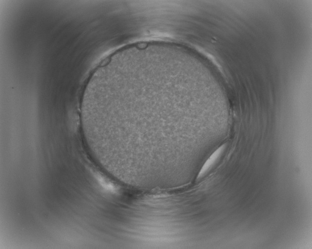 X0000068741363200605192334