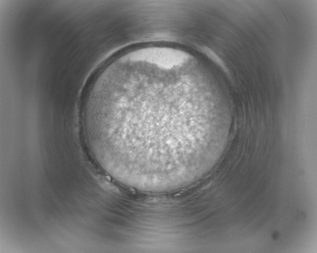 X0000068741364200605192334