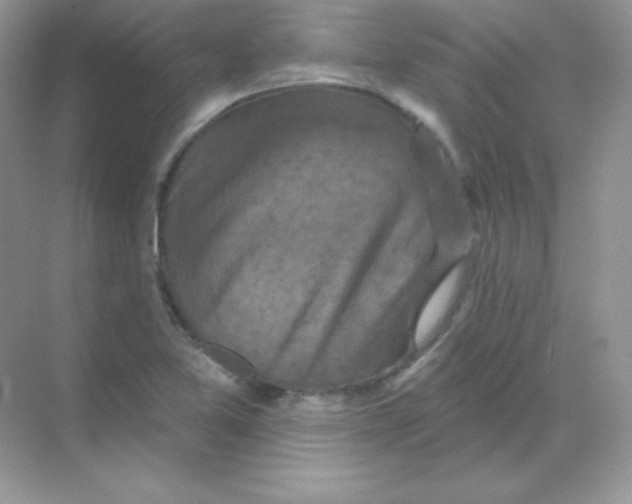 X0000068741365200605192334