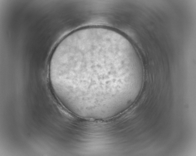 X0000068741366200605192334