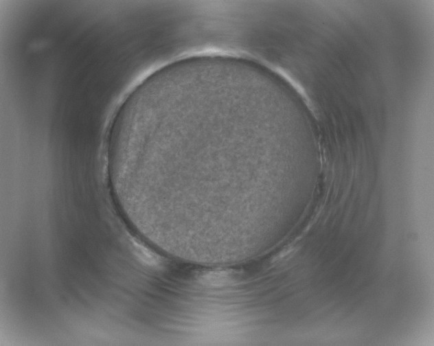 X0000068741367200605192334