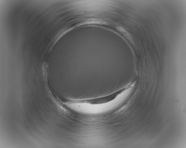 X0000068741369200605192334