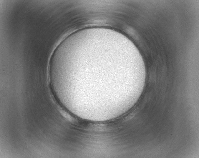 X0000068741370200605192334