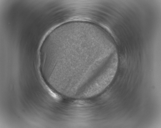 X0000068741371200605192334