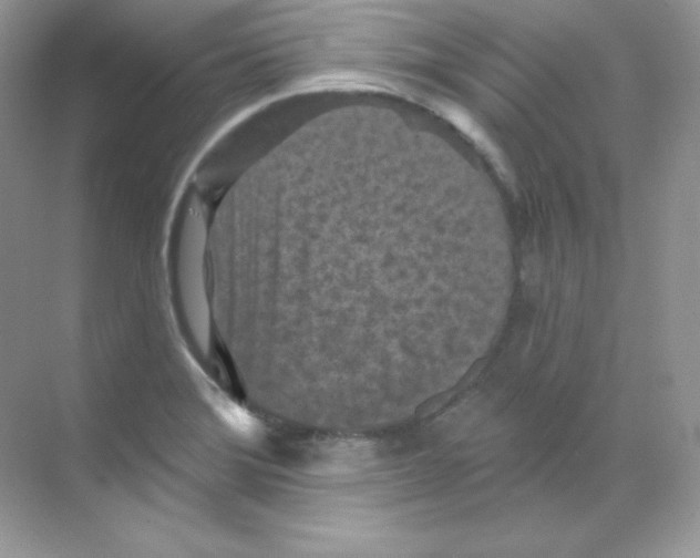 X0000068741372200605192334