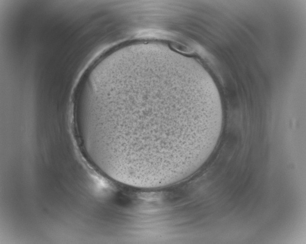 X0000068741376200605192334